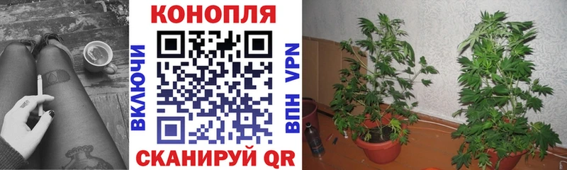 Кокаин Михайлов