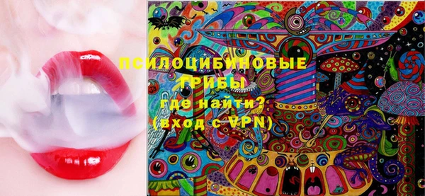 прущие крисы Арсеньев