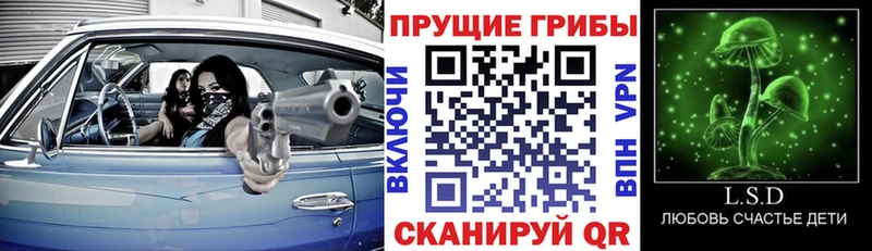 Псилоцибиновые грибы Cubensis  наркошоп  Михайлов 